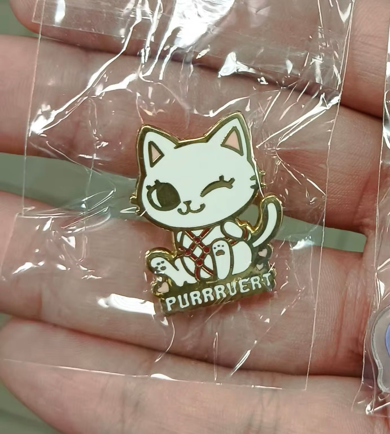 'Purrrvert' Cat Enamel Pin Animal Lapel Pin - Backpack Clothing Accessories | MeowMart - Jewelry - MeowMart